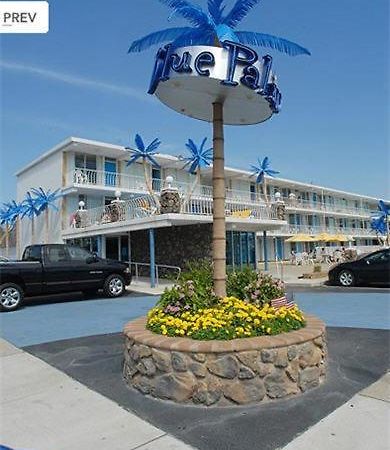 Blue Palms Resort Wildwood Buitenkant foto